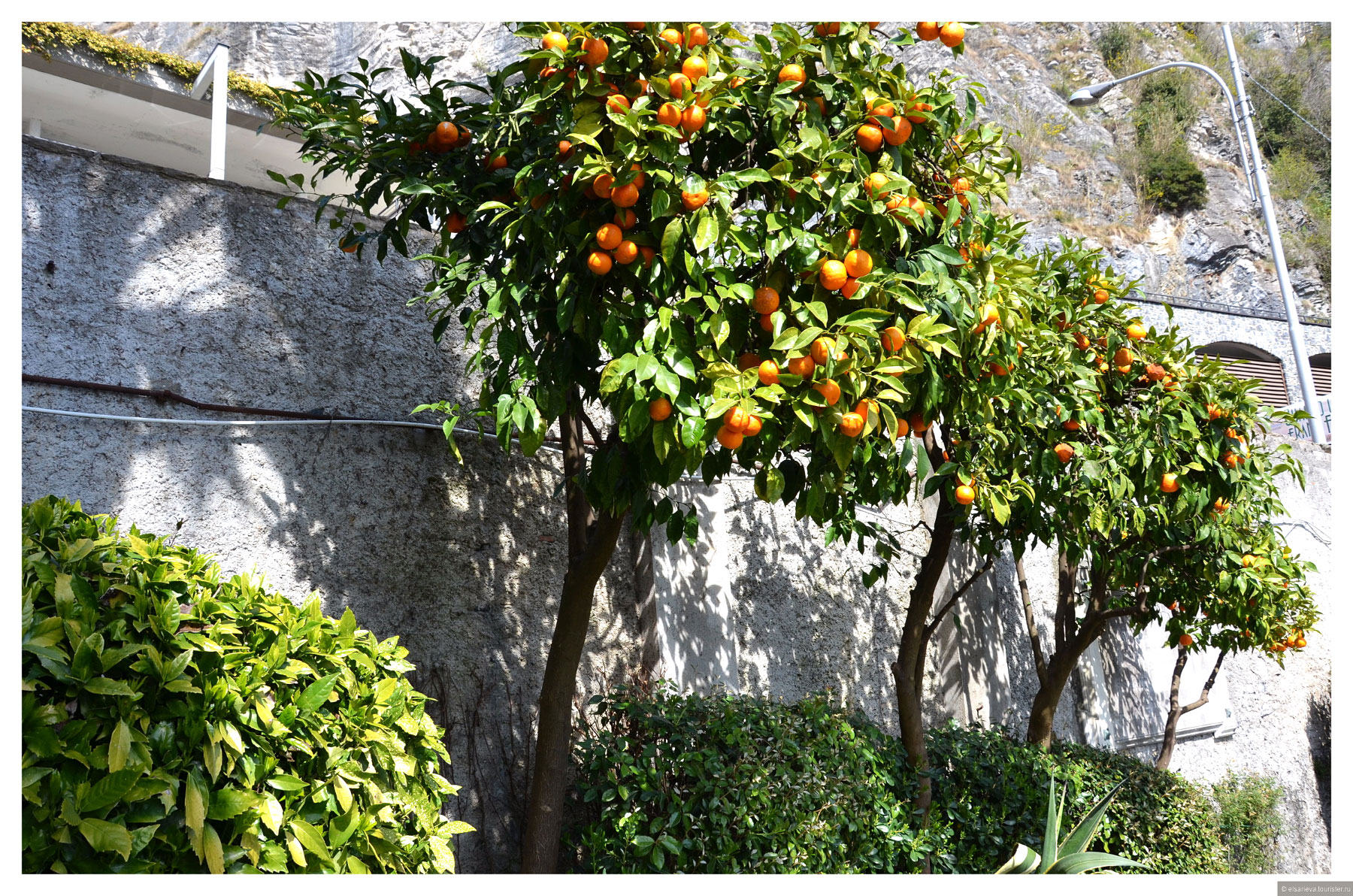 Villa Monastero, Varenna